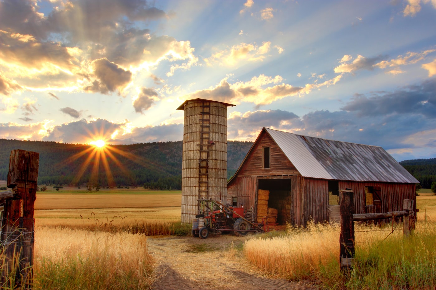 A farm barn beside golden fields at sunset